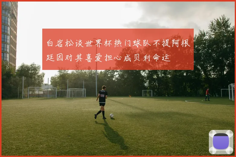 白岩松谈世界杯热门球队不提阿根廷因对其喜爱担心成贝利命运