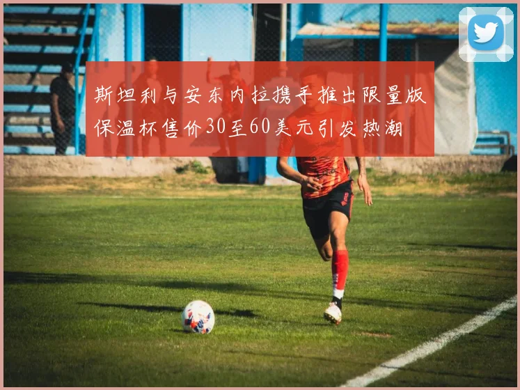 斯坦利与安东内拉携手推出限量版保温杯售价30至60美元引发热潮